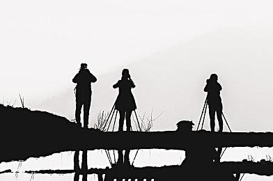 2025年8月游戏版号公开 《大航海时代：起源》过审